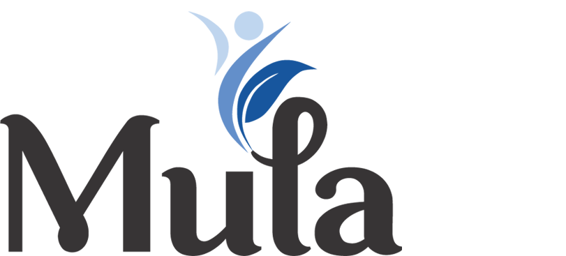 mula-finap-products-logo