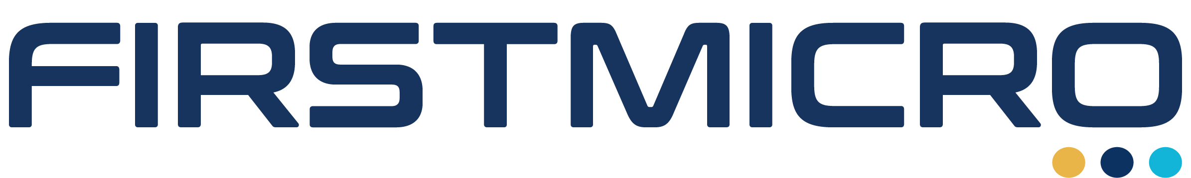 FIRSTMICRO Logo