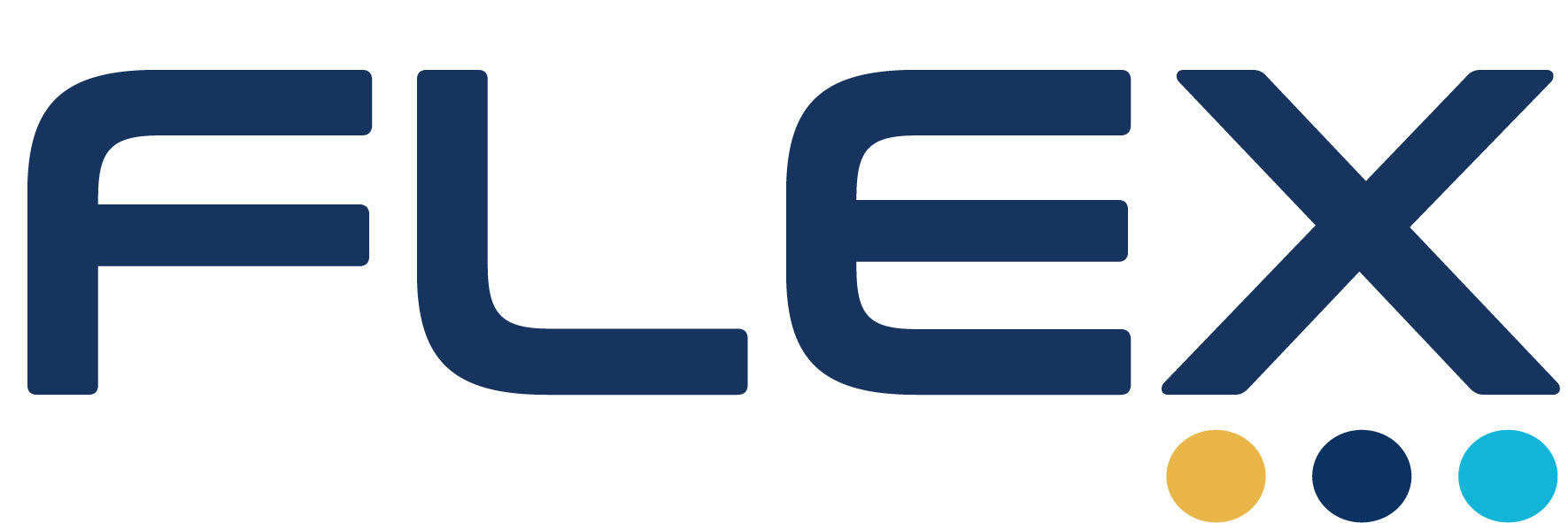 FLEX Logo